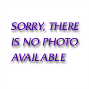 GearWrench 1/2" Non-Quick Release Ratchet Repair Kit (dual pa