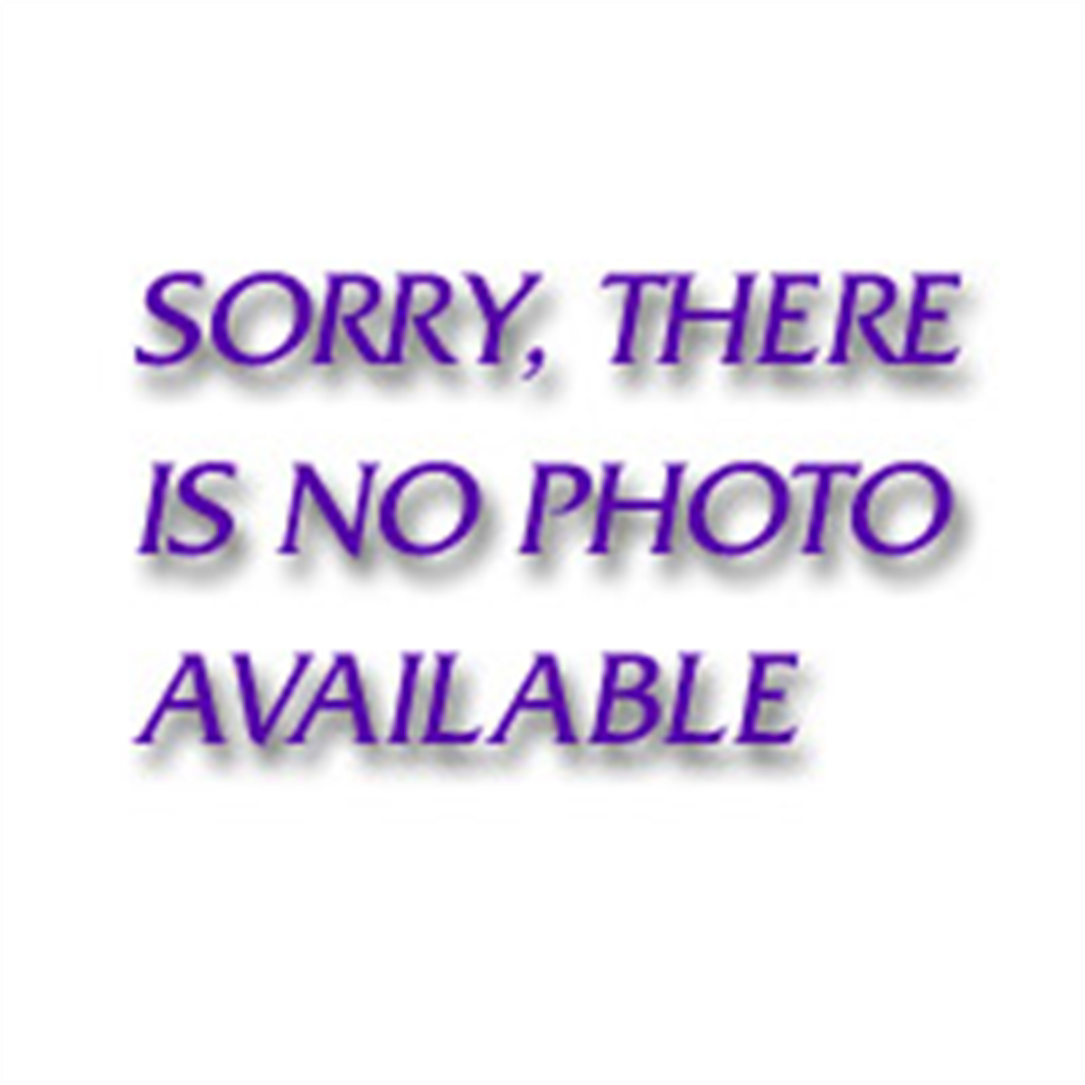 GearWrench 1/2" Non-Quick Release Ratchet Repair Kit (dual pa